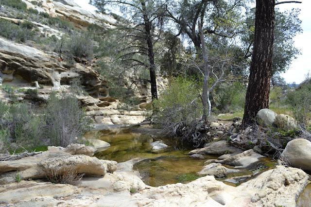 pools in the creek