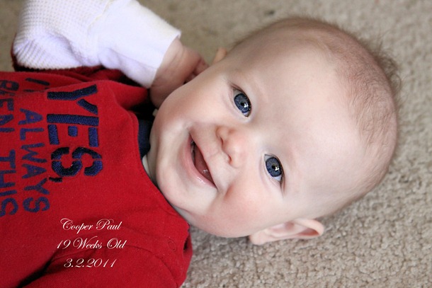 19 weeks old