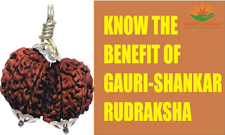 Know The Benefit Of Gauri Shankar Rudraksha