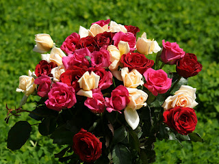 Send Flowers to Chennai , Florist in Chennai