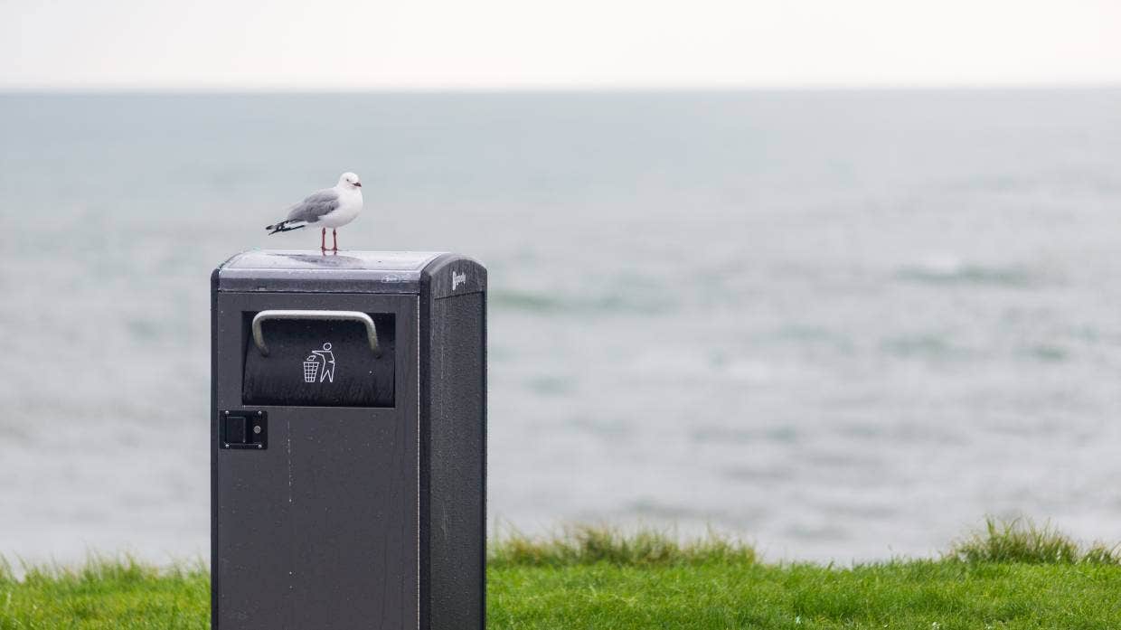 Những thùng rác không được sử dụng nhiều và nằm gần những thùng rác khác có nguy cơ bị loại bỏ ở Auckland.