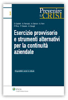 Esercizio provvisorio e strumenti alternativi per la continuità aziendale