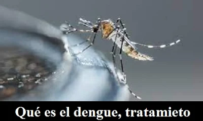 Qué es el dengue, síntomas y tratamientos