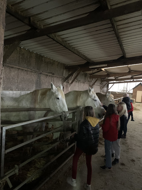 Ukrainian refugees visiting a farm, Indre et Loire, France. Photo O. Kirpa.