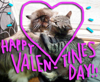 valentines-day-cats