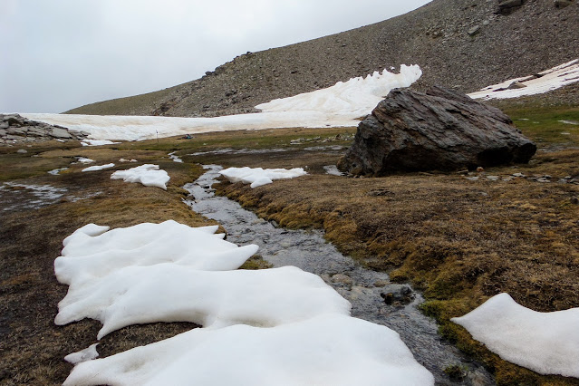 Borreguiles, Lavaderos de la Reina,Sierra Nevada.