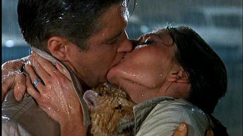 The climactic romantic clench between George Peppard Audrey Hepburn 
