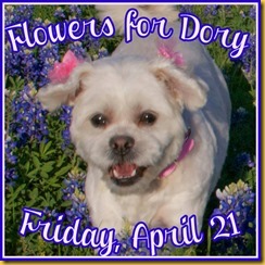 flowers for dory hosted by kinley & idaho pug ranch