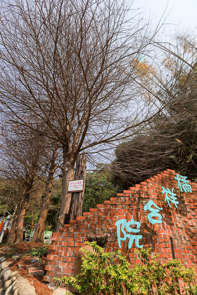 台中后里橘祥合院賞櫻秘境，懷舊建築享用合菜簡餐、咖啡下午茶