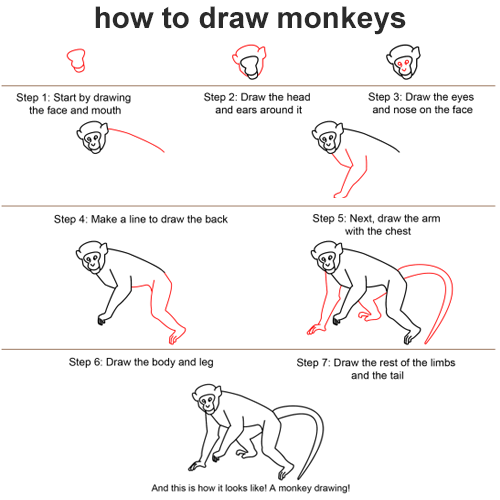 Art And Drawing Learn How To Draw Monkeys