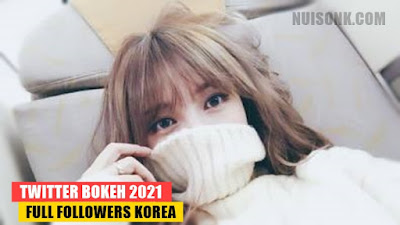 Twitter Bokeh 2021 Full Followers Korea