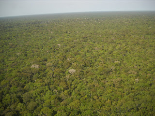 Amazônia-Floresta-Tropical