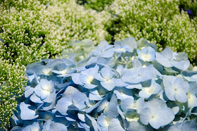 Milwaukee Art Museum Art in Bloom flower arrangement