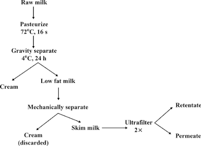 Figure 2: Milk cream processing [4]