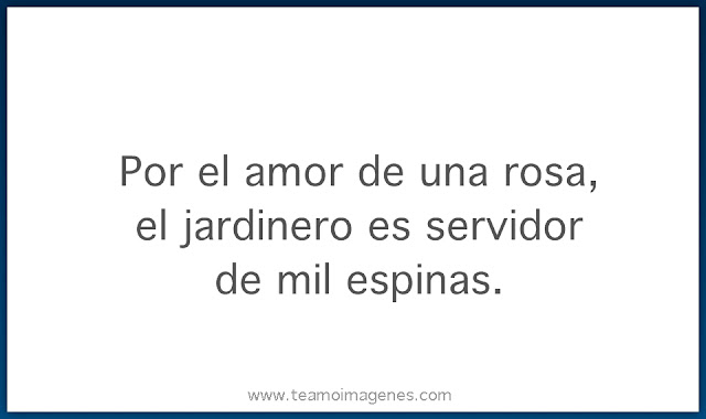 imagenes de amor con frases para compartir