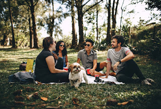 Why Dog Eat Grass And Weeds