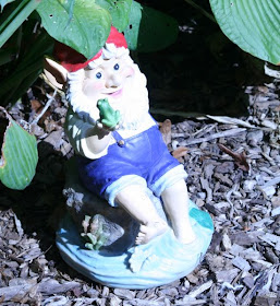 Nature walk in Royal Botanical Garden - The Gnome :: All Pretty Things