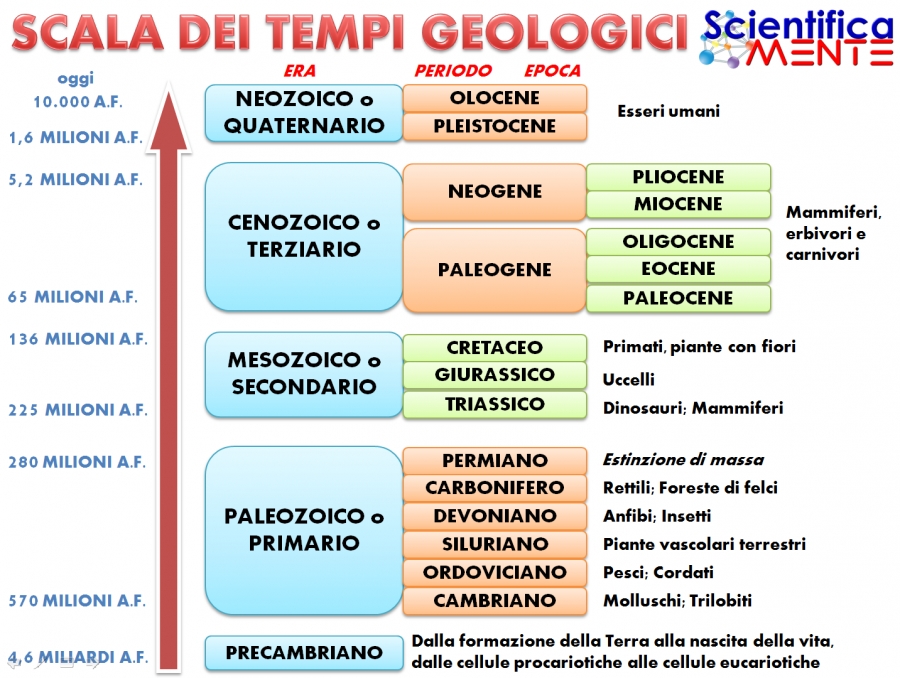 LA STORIA DELLA TERRA: LE ERE GEOLOGICHE – PRIMA PARTE