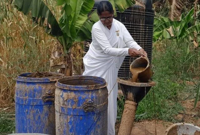 Cow Dung: Fuelling India's Energy Revolution