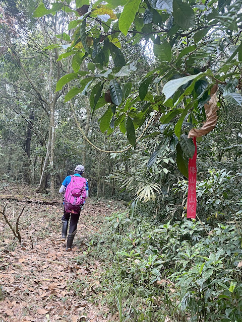 馬路麻山下山途中