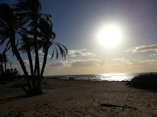 djerba, tunisie, sahara