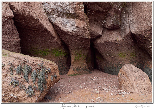 Hopewell Rocks: ... up-close...