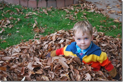 2010-11-05 Myron in the Fall Leaves 020