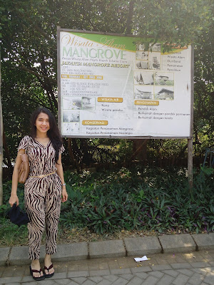 wisata taman mangrove jakarta utara