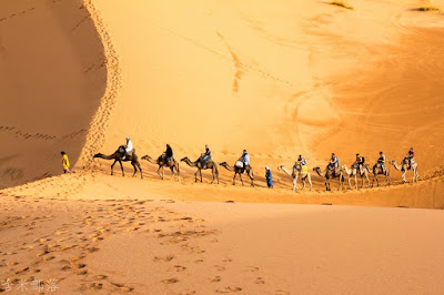 Morocco Camel Trek Desert Tours