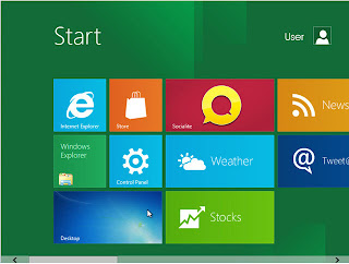 windows 8 in the Developer Preview version