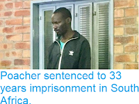 https://sciencythoughts.blogspot.com/2018/11/poacher-sentenced-to-33-years.html