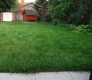 mulching blade, mowing the lawn, grass, tj's green adventure