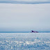 US icebreaker heads to Antarctic to help stuck ships