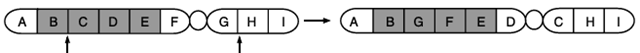 inversi perisentris