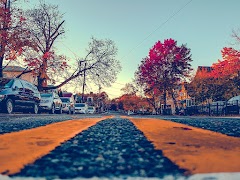 Autumn Color Street Background, Wallpaper