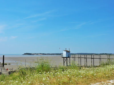 Silent Sunday French Village Diaries Charente-Maritime photos