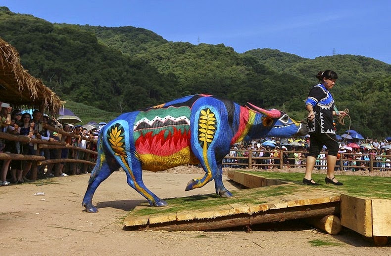 buffalo-bodypainting-1