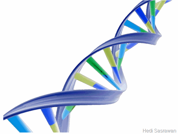 manfaat dna