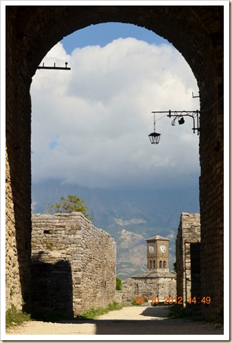 DSC_1528 (2) (678x1024)