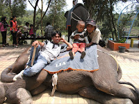 Mahout and Visitor 
