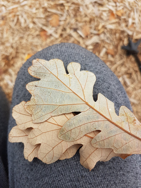 oak leaf on a person's knee