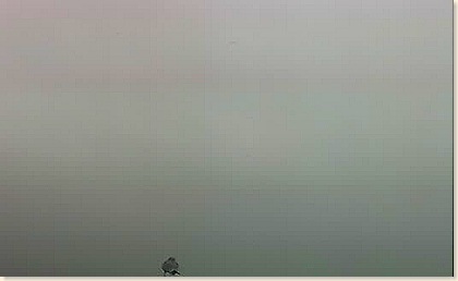 foggy
