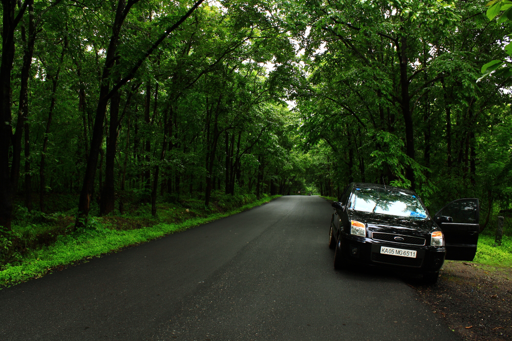 Monsoon Drive