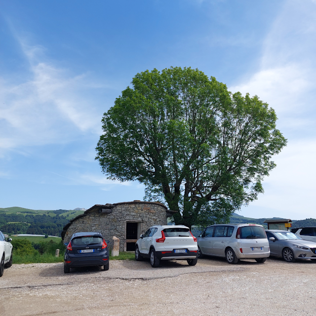 contrade cimbre bosco chiesanuova sentieri