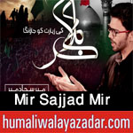 https://humaliwalayazadarcom.blogspot.com/2017/09/mir-sajjad-mir-nohay-2018.html