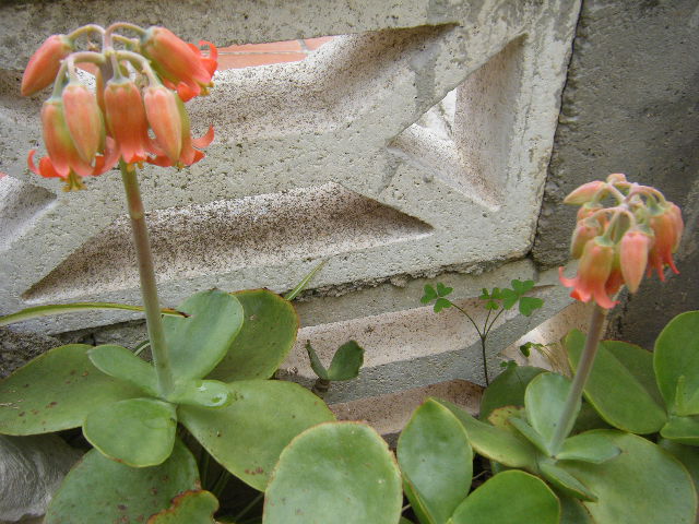 2011_11130002.JPG