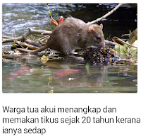 Warga tua akui menangkap dan memakan tikus sejak 20 tahun kerana ianya sedap 