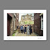 New Exclusive Oasis Print Is Now Available From Microdot