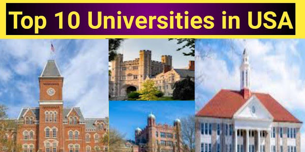 The Top 10 Colleges In The U.S.A