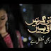 Kithni Girhain Baqi Hain  - 8th November 2013 on Hum TV